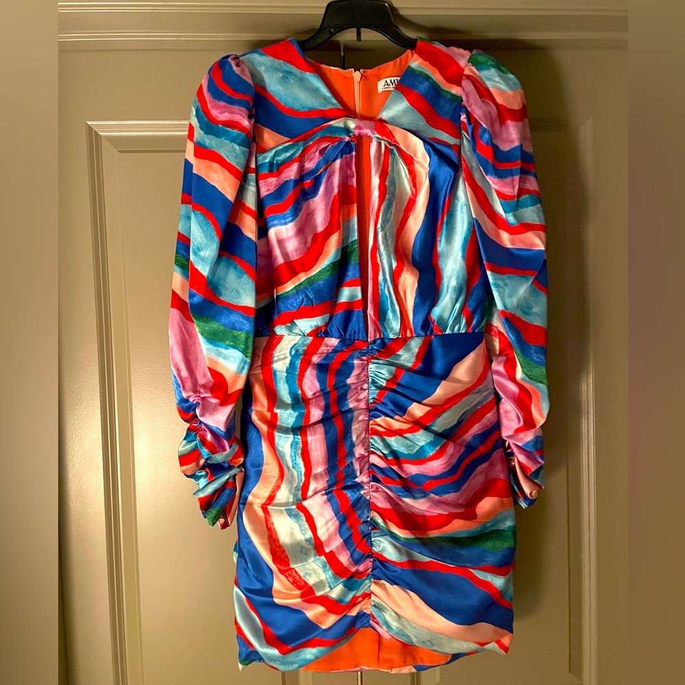 AMUR- Maxine Ruched Dress - Picture 5 of 6